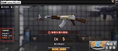 cf最新爆料2017,揭秘那年战场风云与英雄传奇